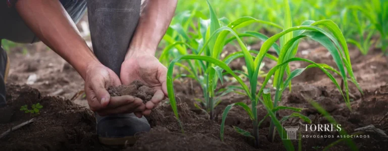 direito-do-trabalho-no-campo